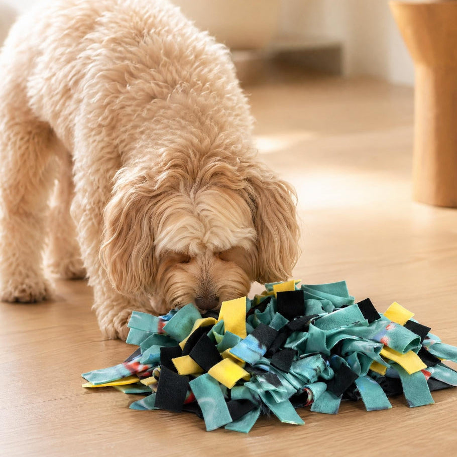 Dog playing with a colorful snuffle mat on a wooden floor.