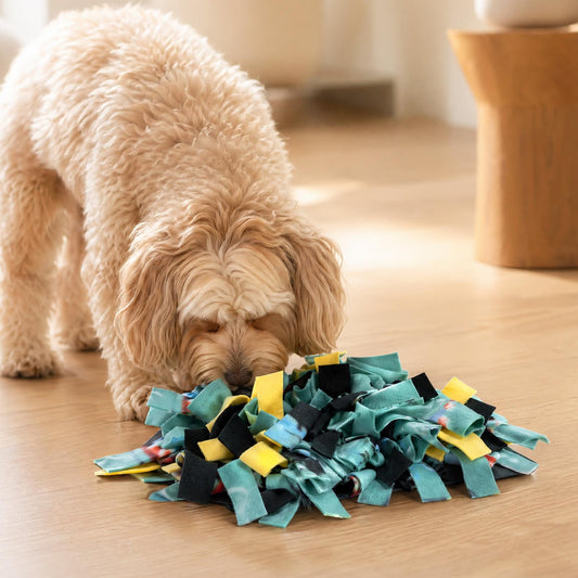 Dog playing with a colorful snuffle mat on a wooden floor.