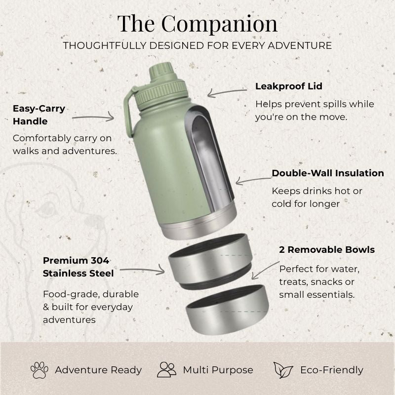An infographic-style product feature graphic for a reusable water bottle labeled 'The Companion.' The bottle is shown in a muted sage green color with a silver metal rim, and the image includes callout text describing features such as an easy-carry handle, leakproof lid, double-wall insulation, premium 304 stainless steel, and two removable bowls.