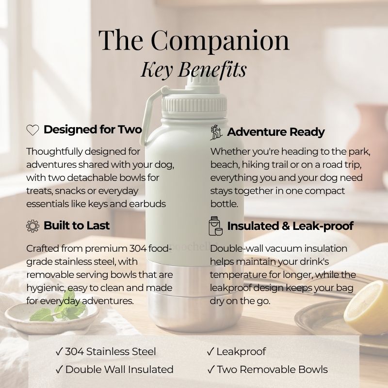 Stainless steel water bottle with text highlighting key benefits on a blurred background