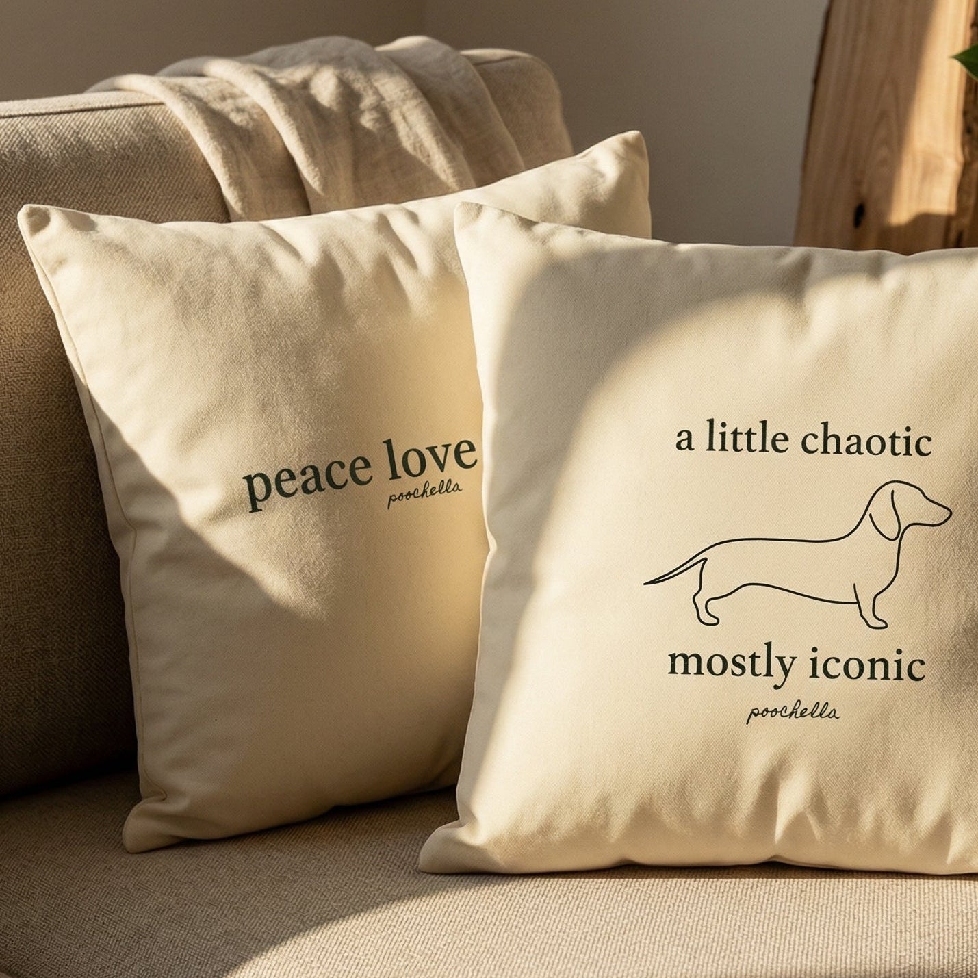 Two pillows with text on a beige couch