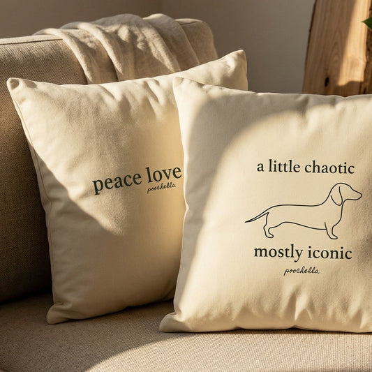 Two pillows with text on a beige couch