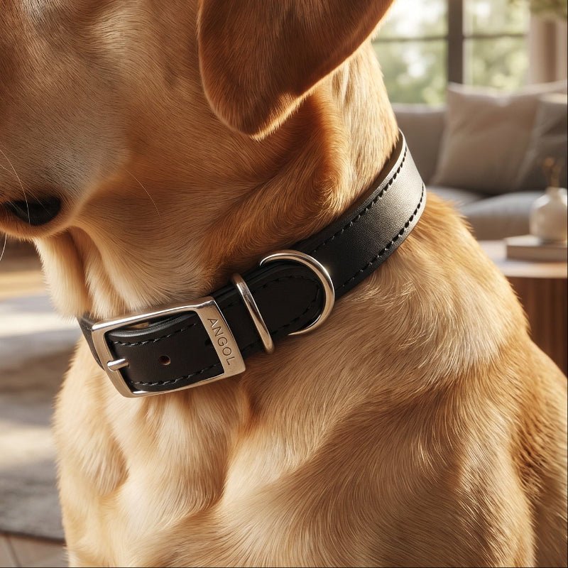 Ancol Classic Black Leather Dog Collar | Premium Leather Pet Collar - Poochella®
