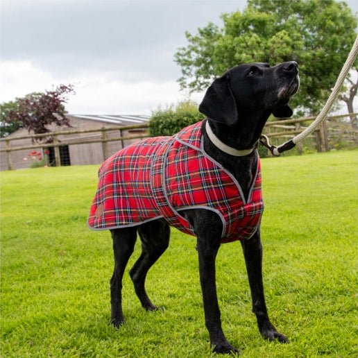 Ancol Highland Red Tartan Dog Coat | Fleece Lined Waterproof Dog Jacket - Poochella®