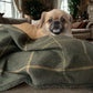 Arlo Forest Green Reversible Lambswool Sherpa Handmade Dog Blanket | The Artisan Dog Company - Poochella®