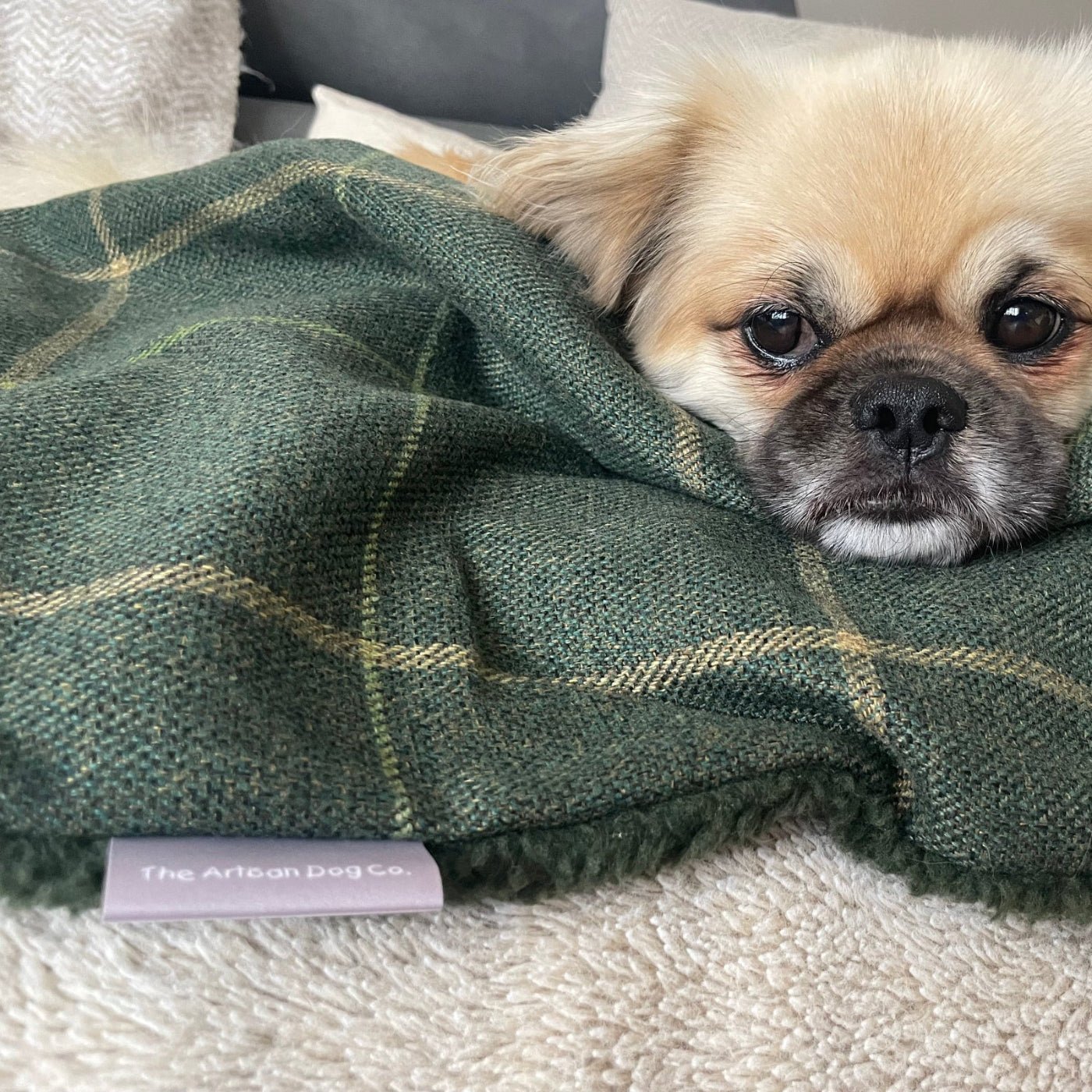 Arlo Forest Green Reversible Lambswool Sherpa Handmade Dog Blanket | The Artisan Dog Company - Poochella®