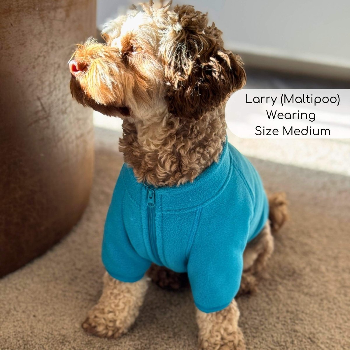 Blue Dog Fleece Coat | Warm Lightweight Zip Jacket | Pup Club Couture - Poochella®