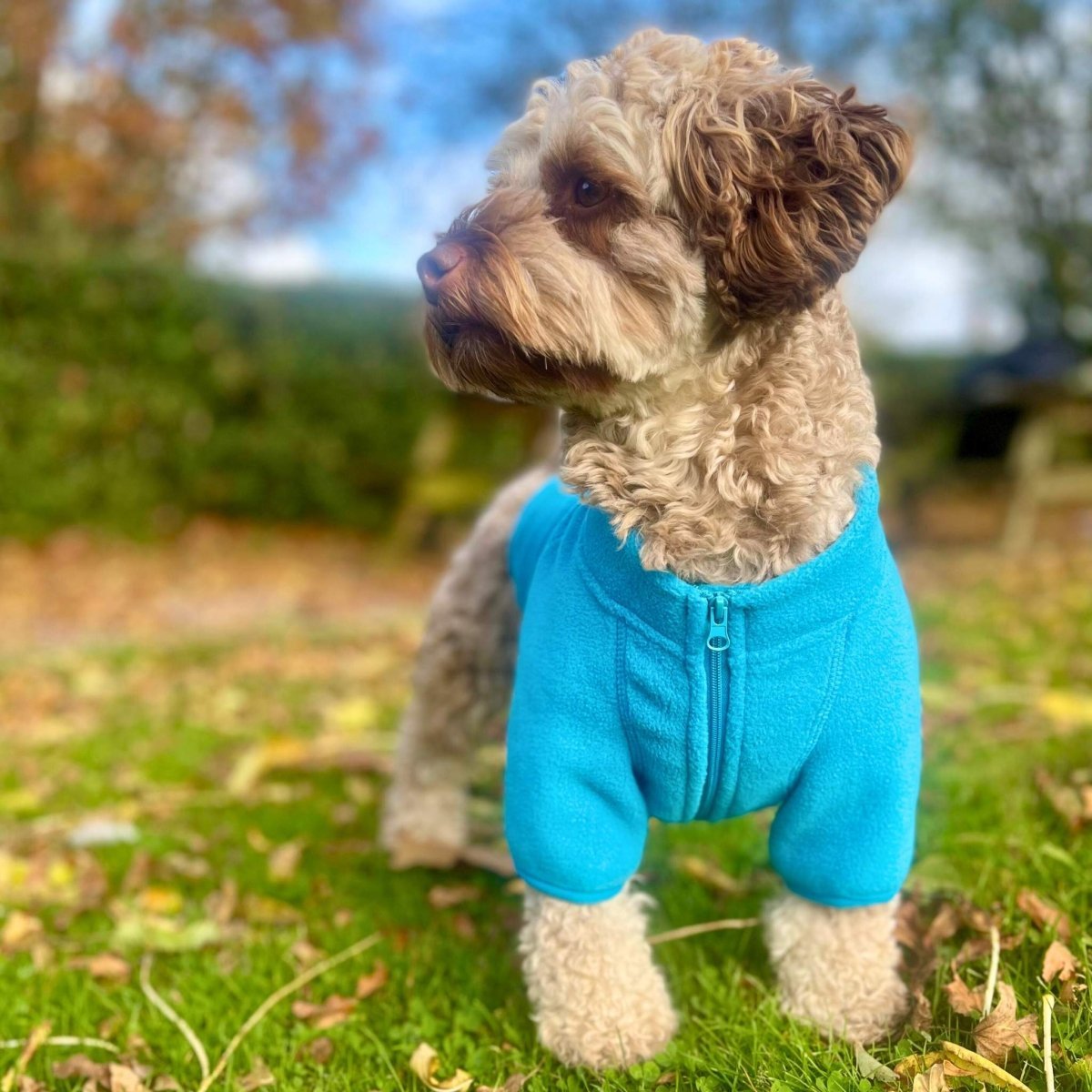 Blue Dog Fleece Coat | Warm Lightweight Zip Jacket | Pup Club Couture - Poochella®
