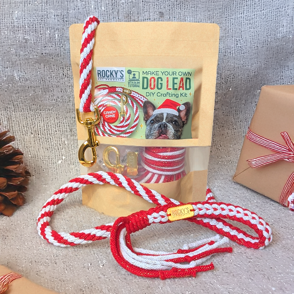 Rocky's DIY Dog Lead Crafting Kit with red and white dog leash on a textured surface