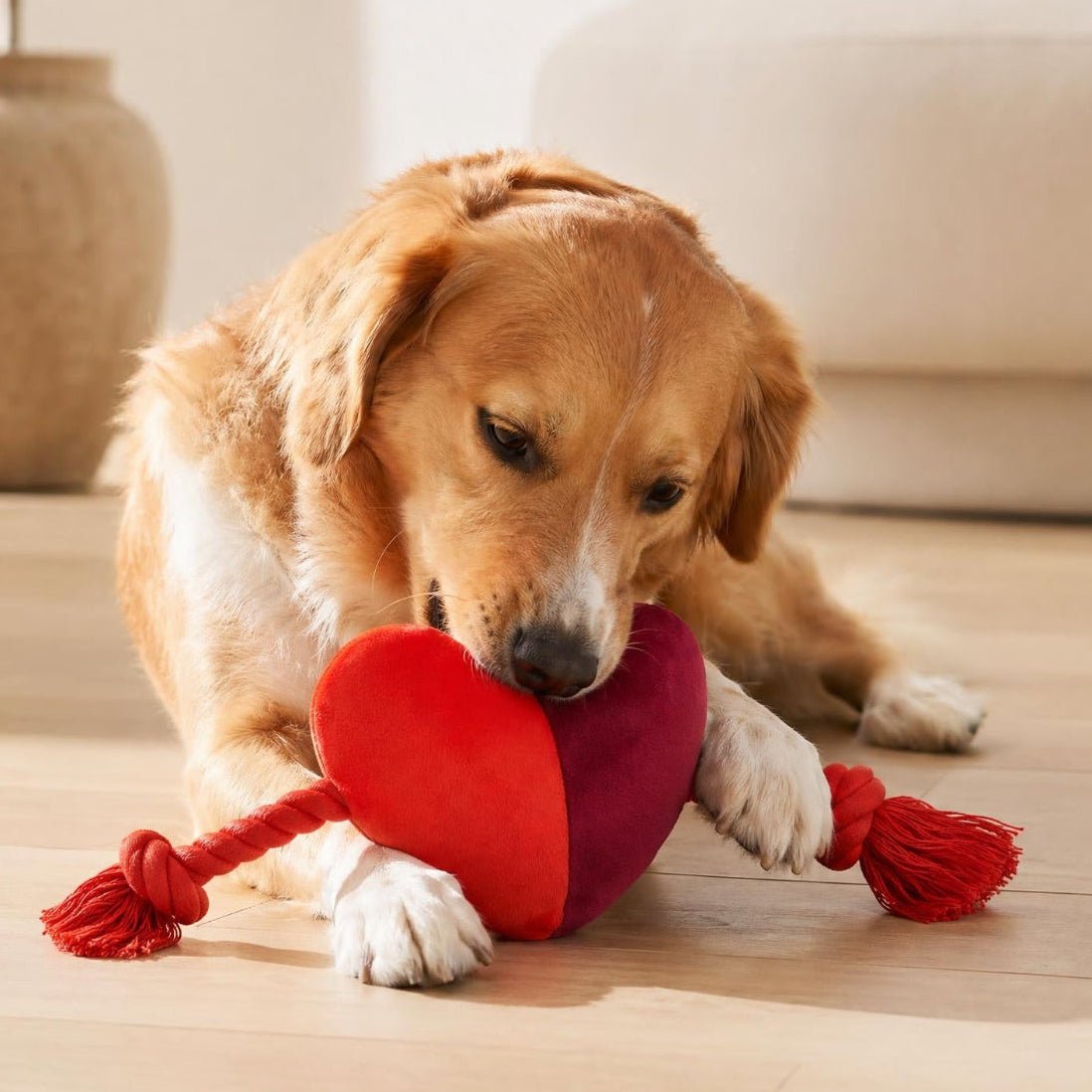 Cath Kidston Dogs & Roses Heart Plush & Rope Dog Toy – Squeaky Tug Toy | Dog Enrichment Toy UK - Poochella®