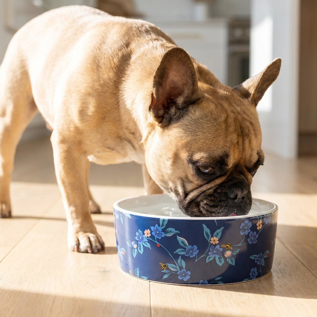 Cath Kidston® Greenwich Flowers Ceramic Pet Bowl | Blue Dog & Cat Food Bowl - Poochella®