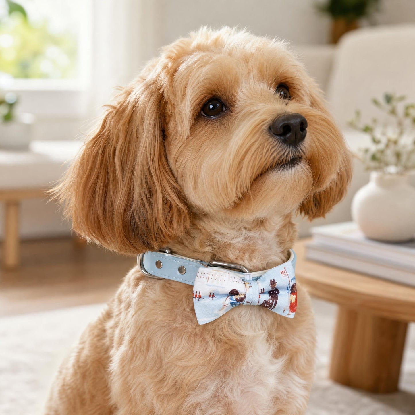 Cute dog wearing light blue bow tie and collar