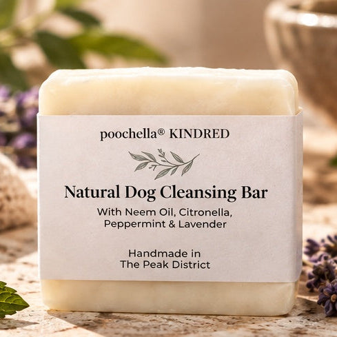 A bar of poochella KINDRED Natural Dog Cleansing Bar with a white paper label, styled on a rustic stone surface with lavender flowers, mint leaves, and a woven basket in the background.