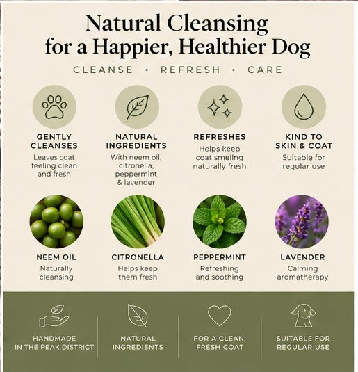 An informational graphic for a dog cleansing product, titled 'Natural Cleansing for a Happier, Healthier Dog,' with icons and text describing benefits such as gentle cleansing, natural ingredients, refreshing scent, and suitability for regular use. It includes photos of neem oil, citronella, peppermint, and lavender, plus a green footer with hand-made and natural claims.