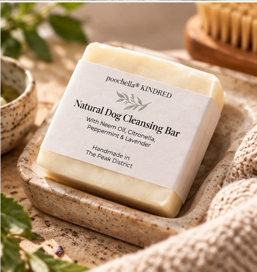 A bar of poochella KINDRED Natural Dog Cleansing Bar sits in a speckled stone dish on a textured beige surface, surrounded by soft home props including a knit blanket, green leaves, and a wooden brush.