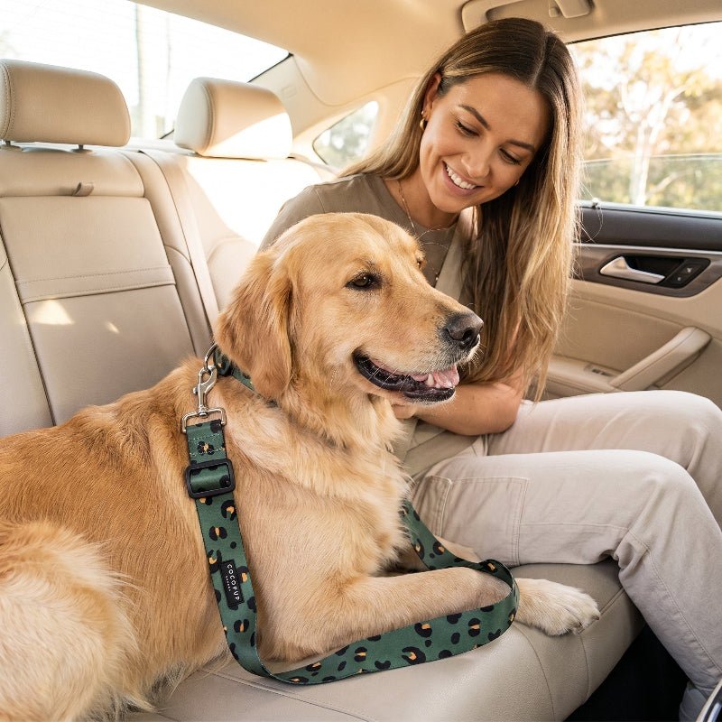 Coconut Lane x CocoPup Khaki Leopard Dog Car Seat Belt | Adjustable Pet Car Restraint - Poochella®