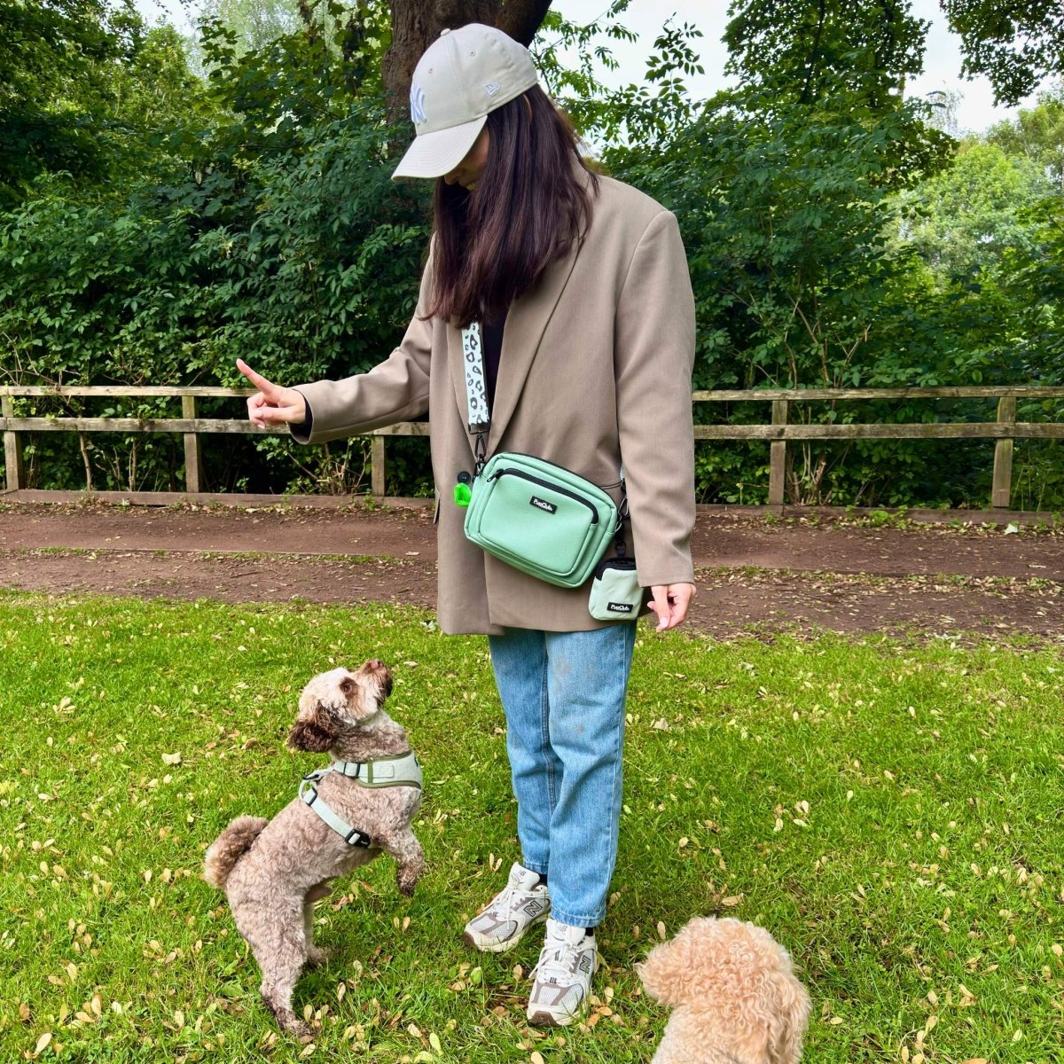 Person with a green bag and two dogs in a park setting