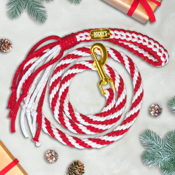 Red and white rope dog leash with gold clasp on a light gray background with Christmas decorations.