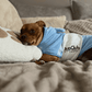 Dog Drying Robe | Microfibre Towel Coat – Blue | Pup Club Couture - Poochella®