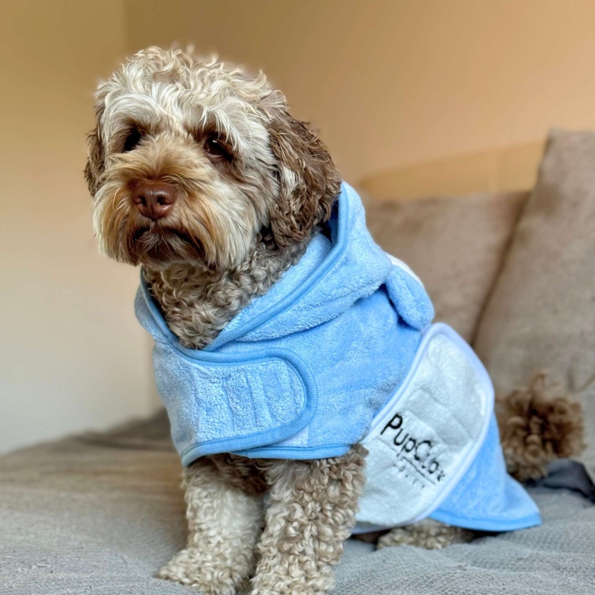 Dog Drying Robe | Microfibre Towel Coat – Blue | Pup Club Couture - Poochella®