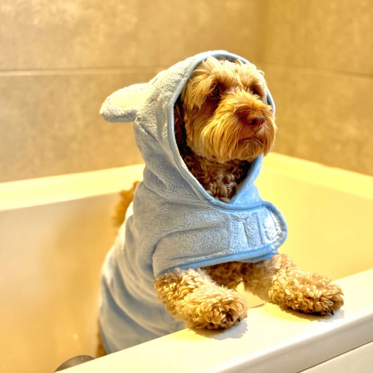 Dog Drying Robe | Microfibre Towel Coat – Blue | Pup Club Couture - Poochella®