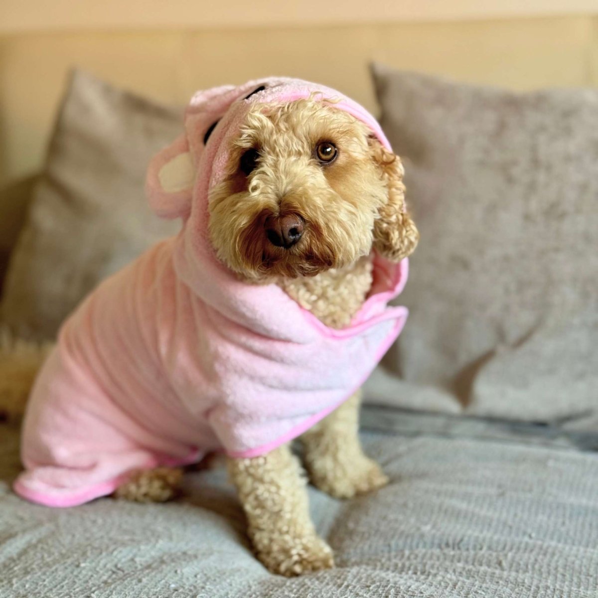Dog Drying Robe | Microfibre Towel Coat – Pink | Pup Club Couture - Poochella®