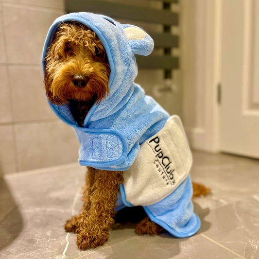 Dog wearing a blue and beige robe with 'PupClub' branding in a bathroom setting.