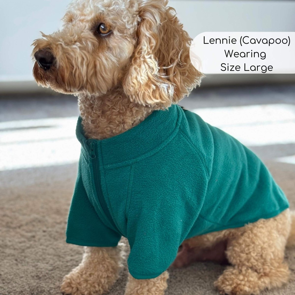 Teal Green Dog Fleece Coat | Warm Lightweight Zip Jacket | Pup Club Couture