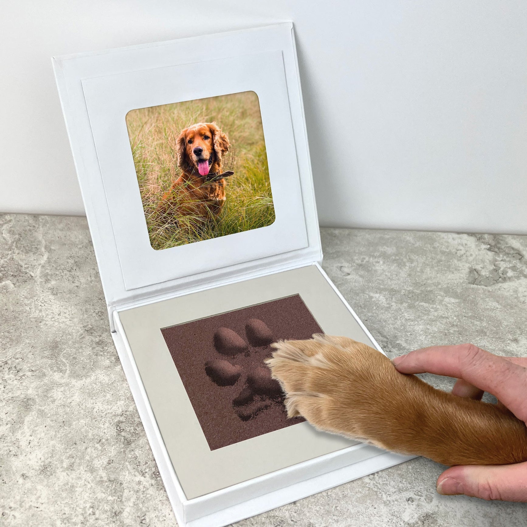 Person holding a dog's paw print next to a photo of a dog in a white frame.