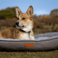 Dog lying on a gray dog bed in a natural outdoor setting