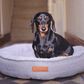Dog sitting on a gray pet bed with a brand label in a home setting