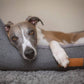 Dog lying on a gray pet bed with a visible brand label.