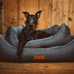 Dog lying on a blue dog bed with wooden wall background