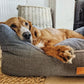 Dog lying on a textured gray pet bed with a visible brand logo.