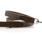 Brown dog leash with metal clip on a white background