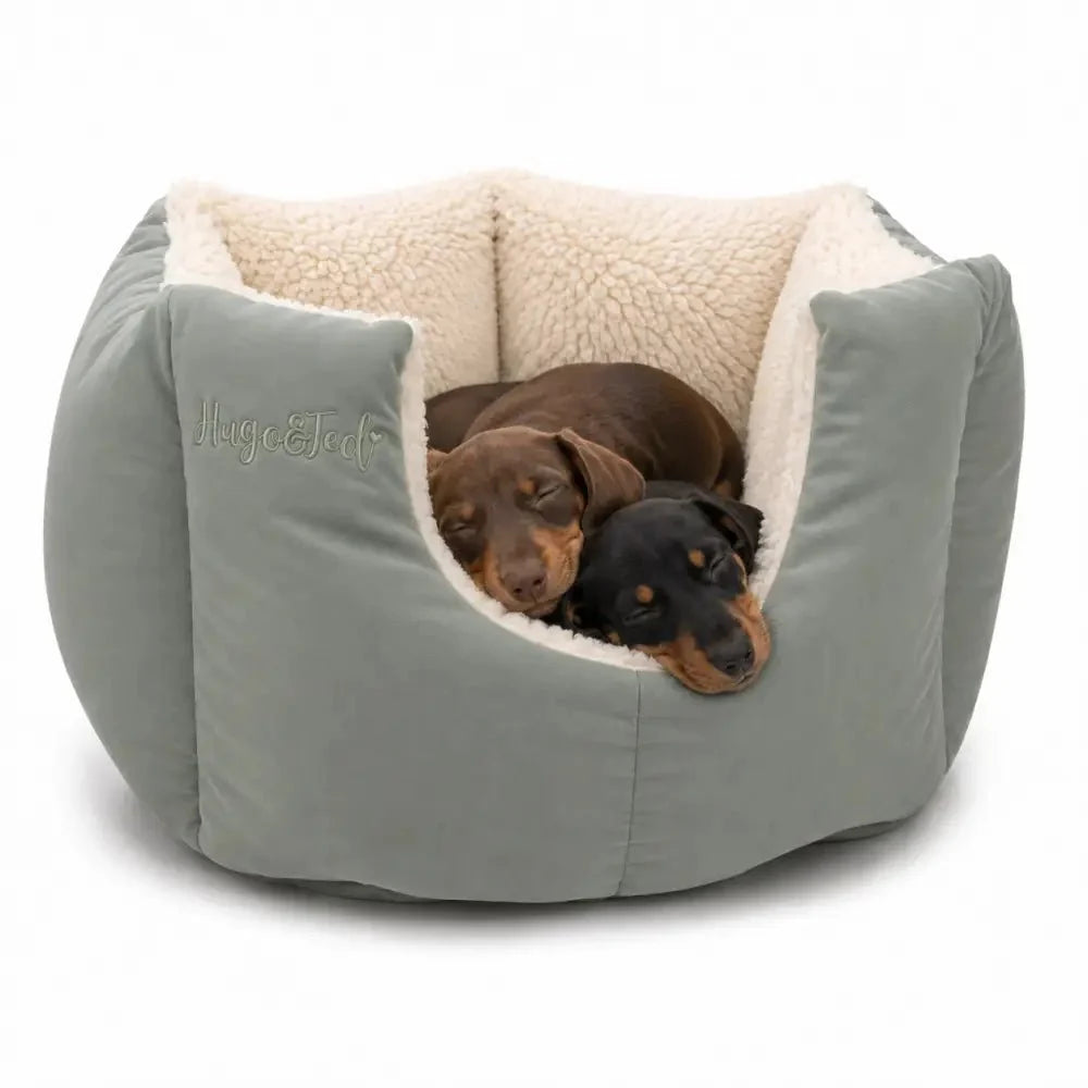 A large plush dog bed in muted sage green with a cream sherpa lining, shown with two dogs curled up inside. The brand name 'HugeTed' is embroidered on the side.