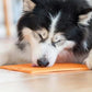 LickiMat Soother Tuff Lick Mat for Dogs | Anxiety & Boredom Reduction Enrichment Mat - Poochella®
