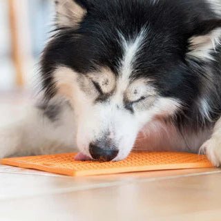 LickiMat Soother Tuff Lick Mat for Dogs | Anxiety & Boredom Reduction Enrichment Mat - Poochella®