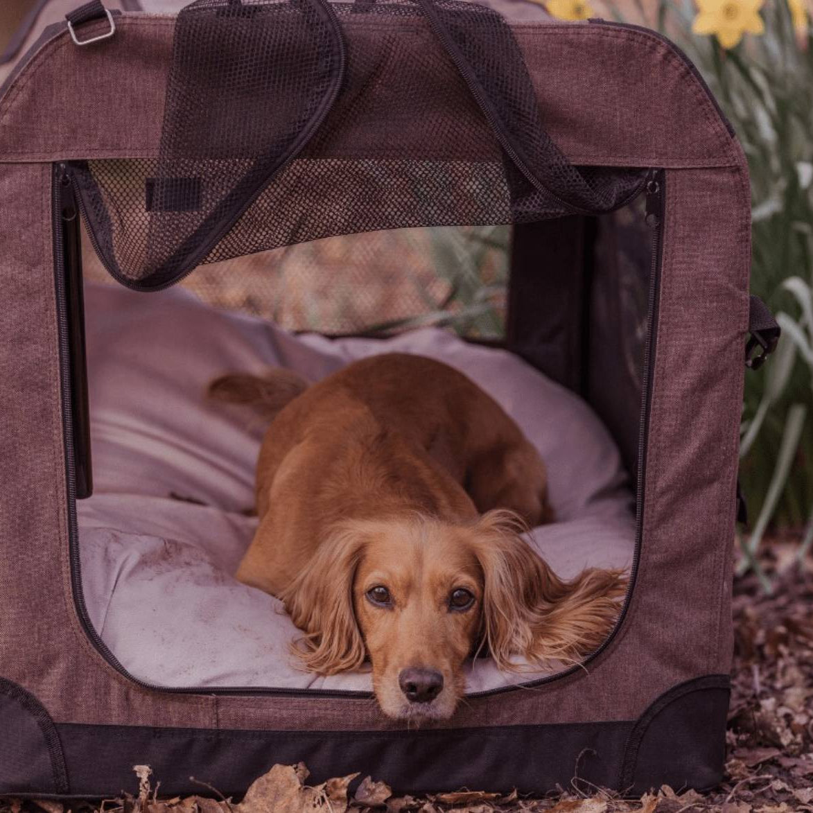 Dog lying inside a brown pet carrier with a natural outdoor background