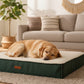 Dog bed mattress with a green exterior and beige interior on a white background