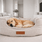 Dog resting on a fluffy pet bed in a cozy living room.
