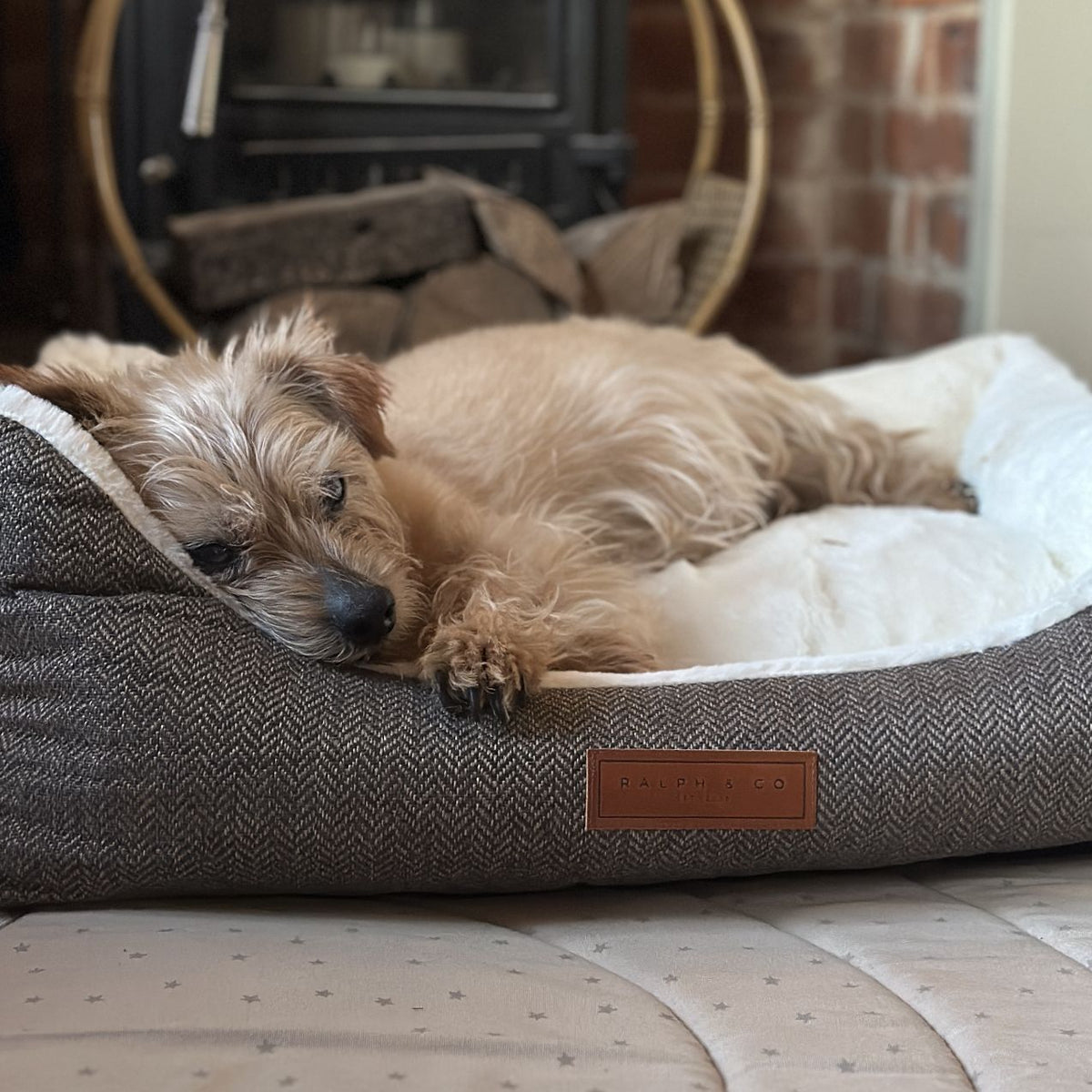 Dog lying on a textured pet bed with a fireplace in the background