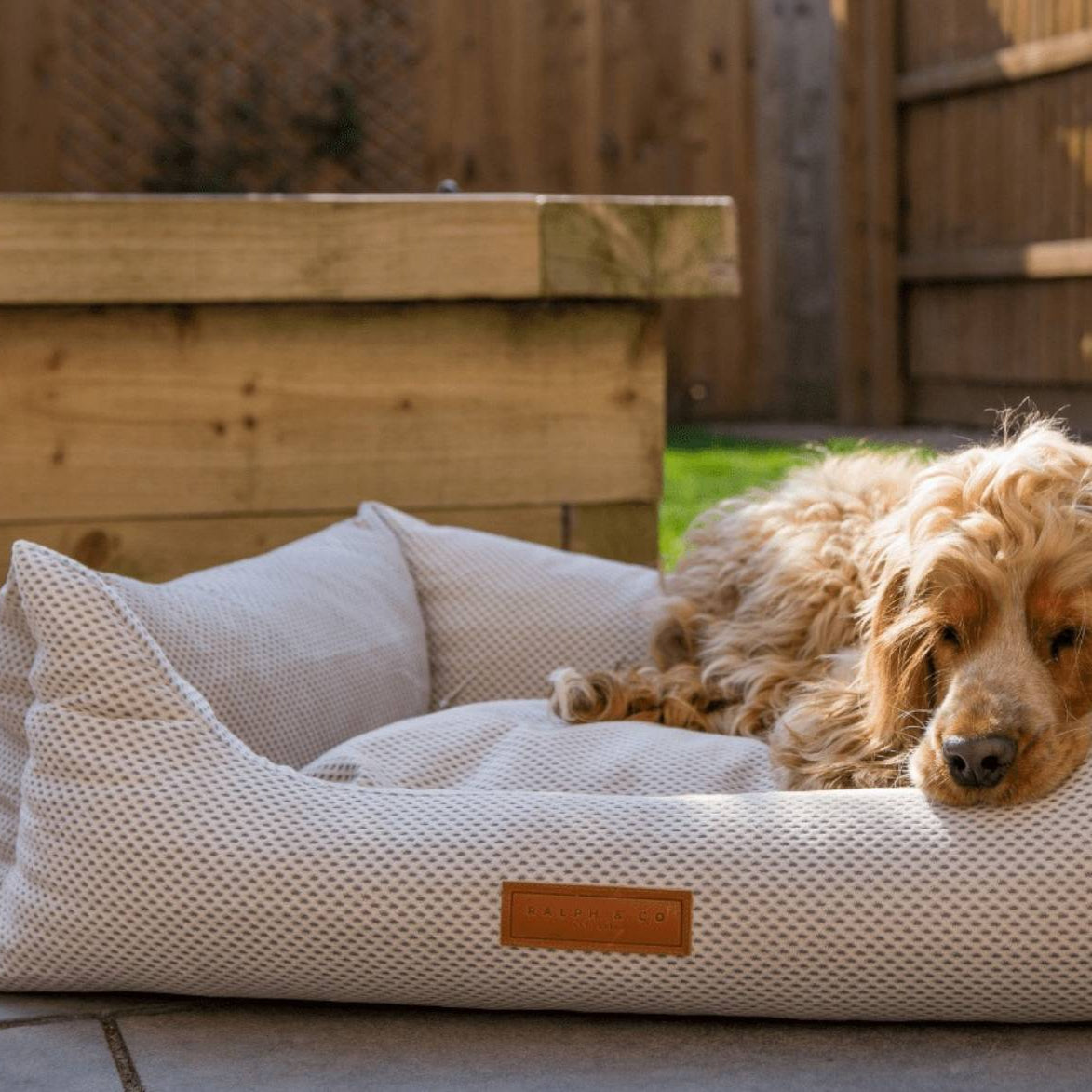 Dog lying on a textured pet bed outdoors with wooden furniture in the background
