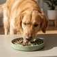 Poochella® 2-in-1 Silicone Slow Feeder & Lick Dog Bowl | The Enrichment Bowl - Poochella®