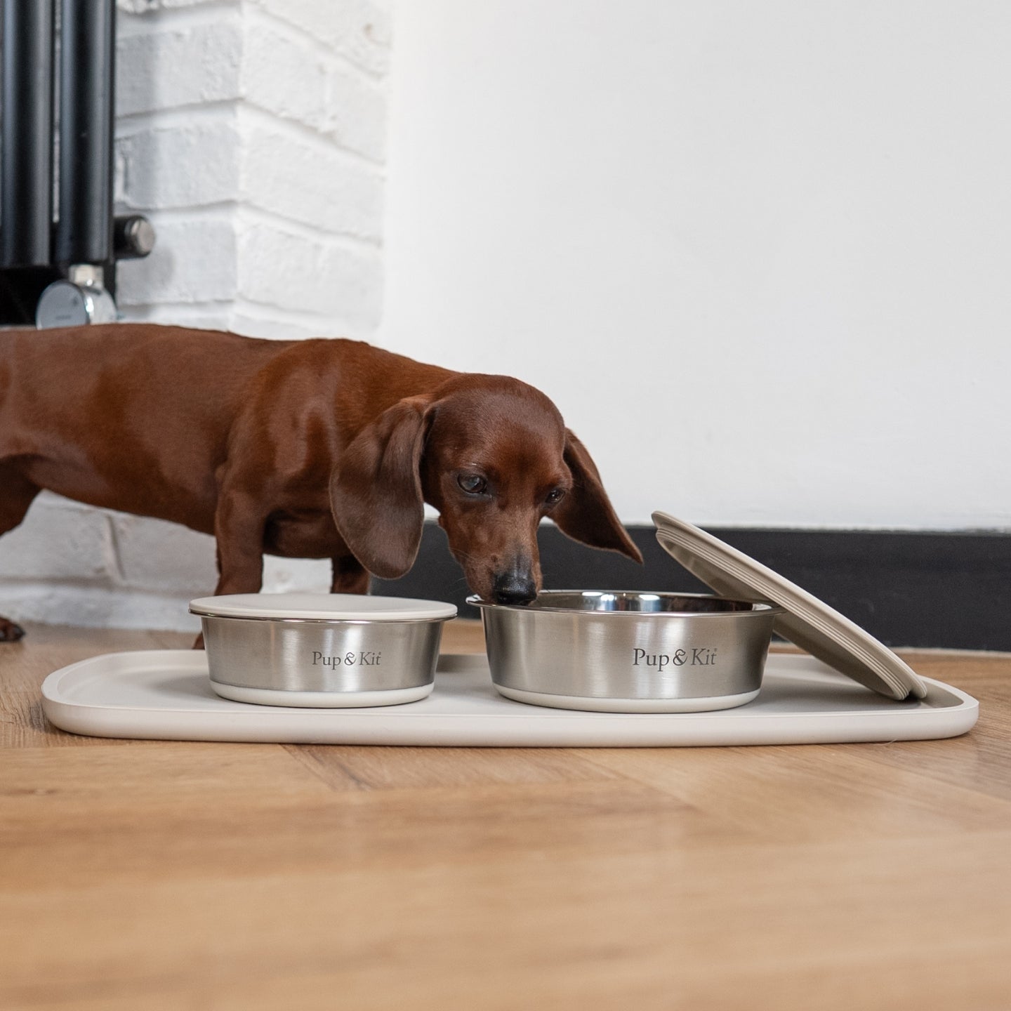 Pup & Kit Lid-It Stay Fresh Dog Bowl | Stainless Steel Pet Bowl with Airtight Lid - Poochella®
