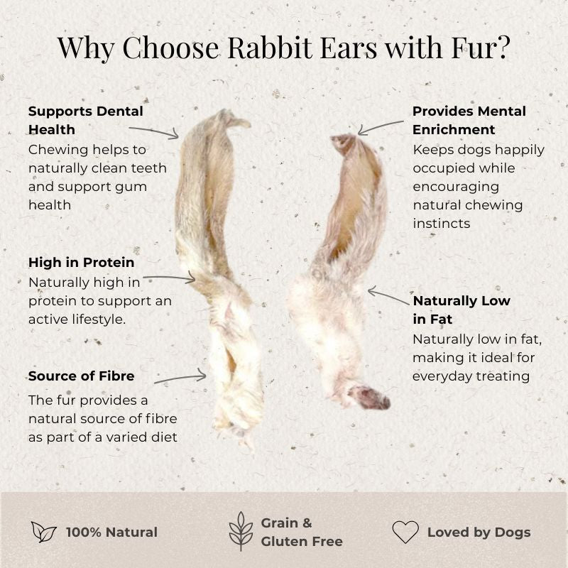 Rabbit Ears with Fur for Dogs | Natural Dog Chews | Poochella® - Poochella®
