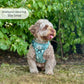Rugged Rover™ No-Pull Dog Harness Evergreen Trails | Pup Club Couture - Poochella®