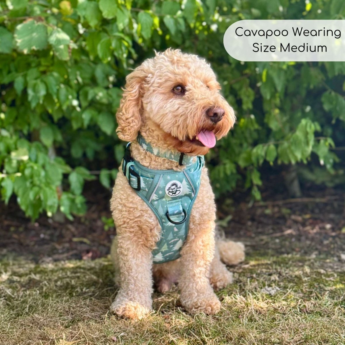 Rugged Rover™ No-Pull Dog Harness Evergreen Trails | Pup Club Couture - Poochella®