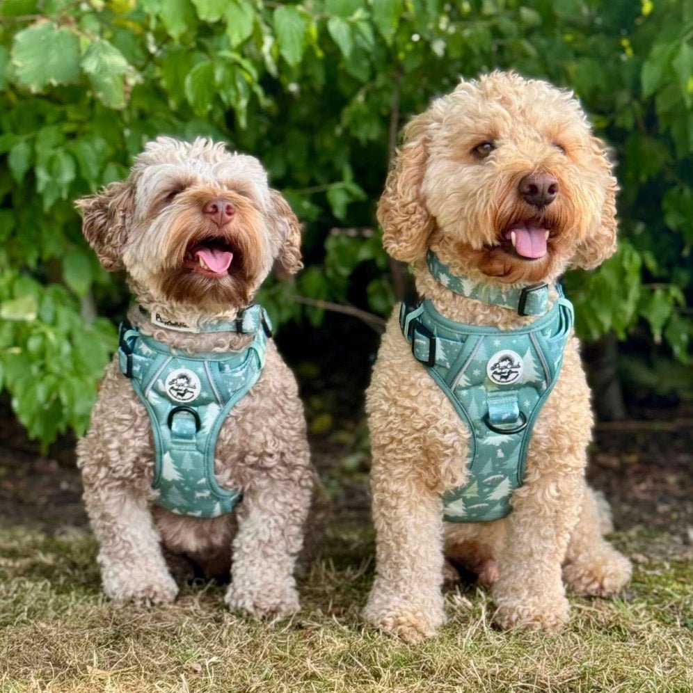 Rugged Rover™ No-Pull Dog Harness Evergreen Trails | Pup Club Couture - Poochella®