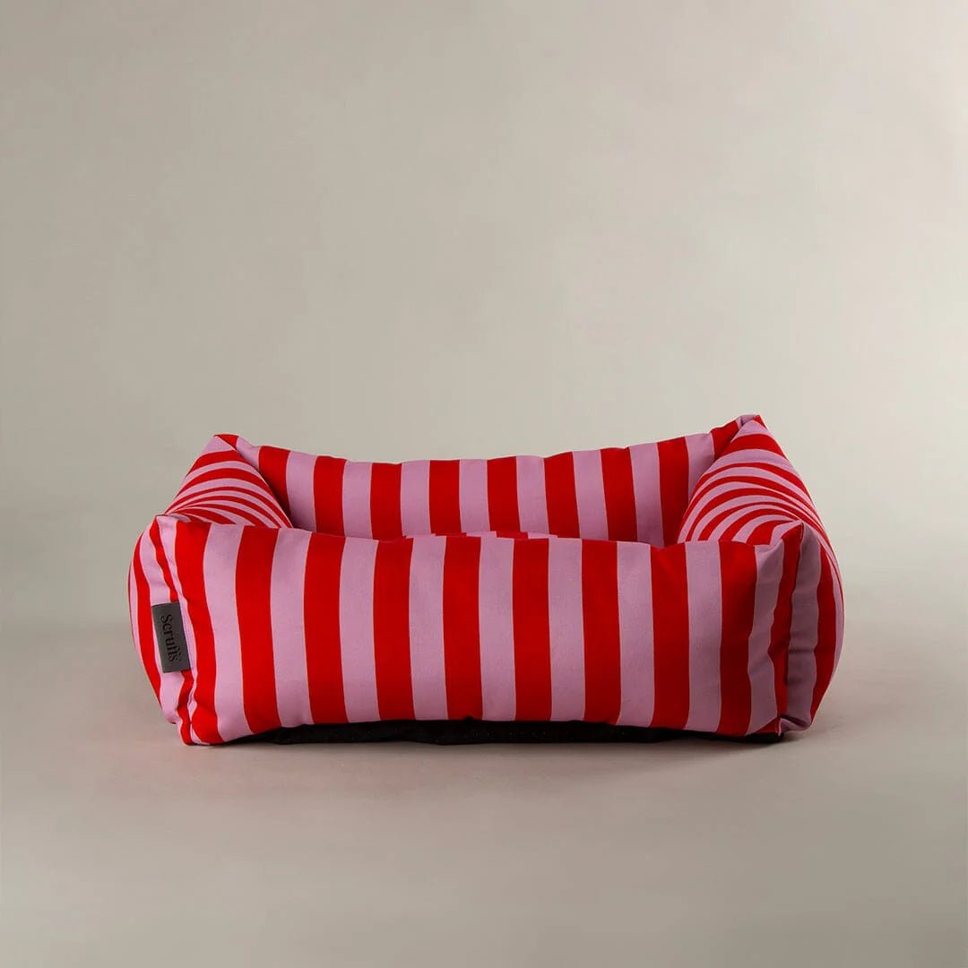 Scruffs Amalfi Dog Bed | Striped Box Bed with Recycled Fill | Colourful Pet Bed - Poochella®